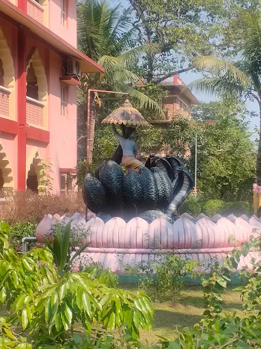 Surrounding Greenery of Gada Bhavan